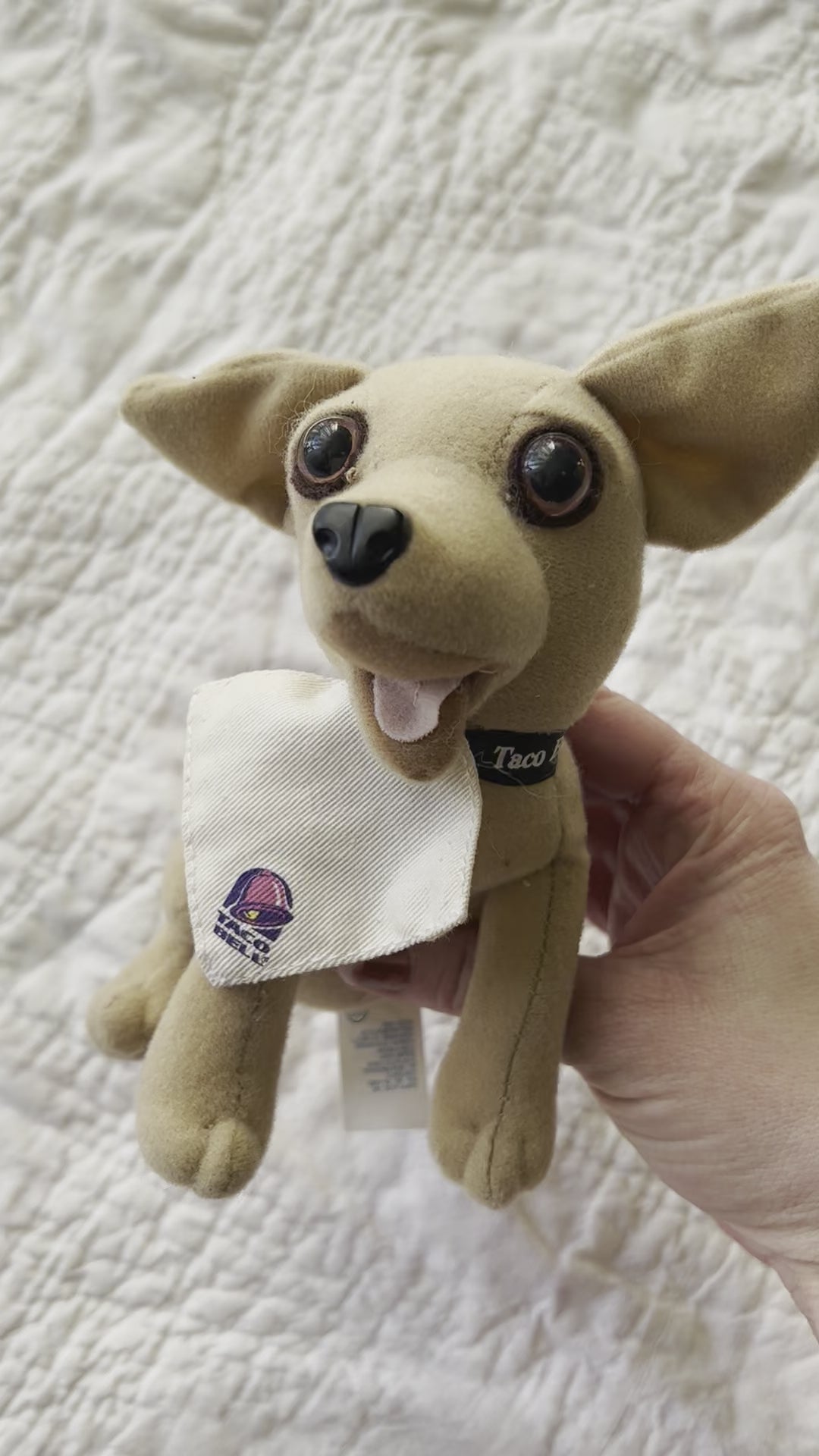 90s taco bell dog