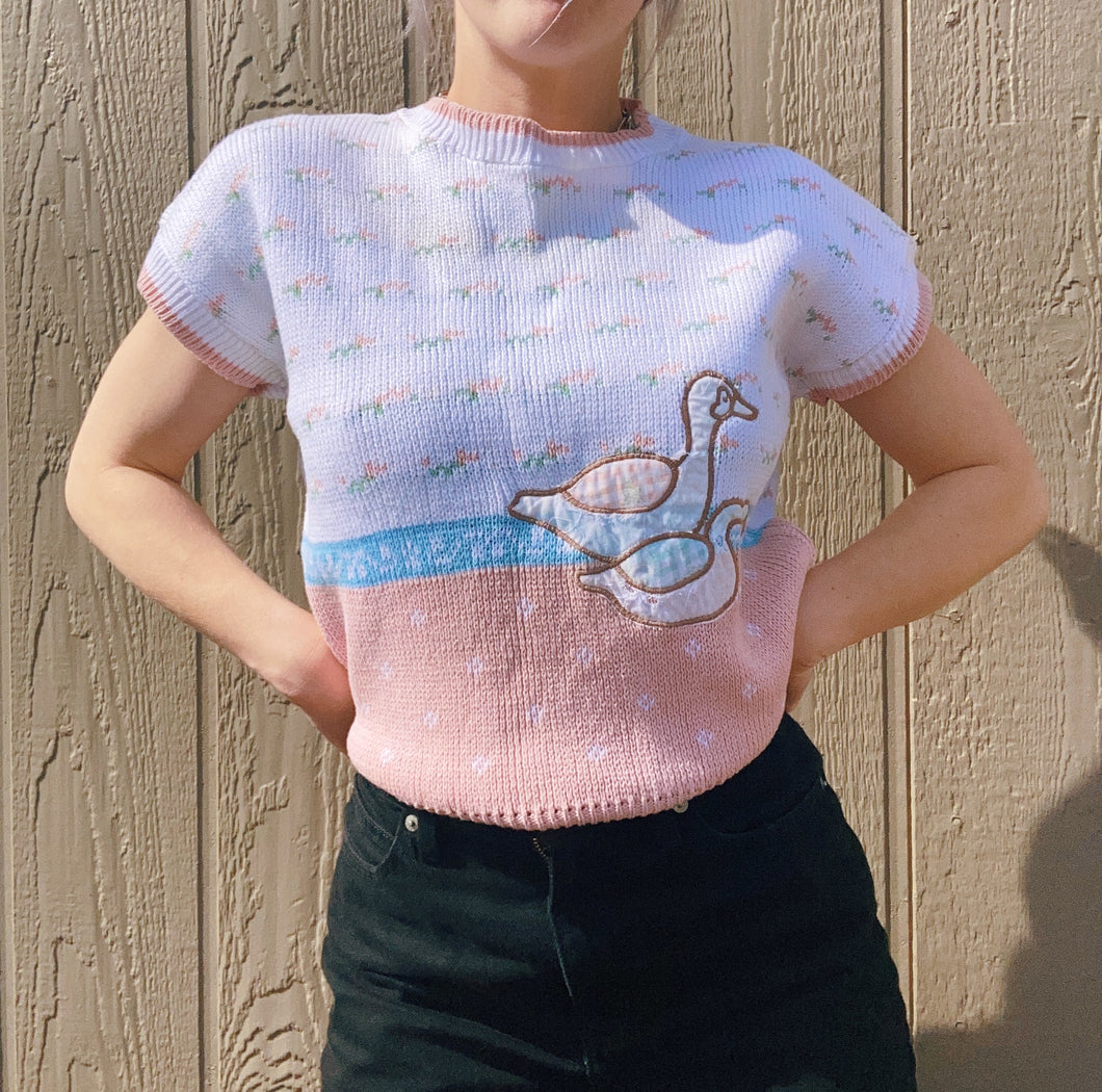 Pastel Duck Sweater Top